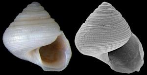 Geeky_Nature_Imagem04