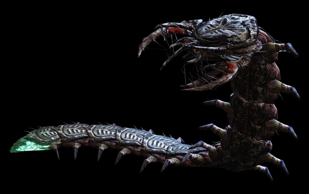 The biology of giant war&nbsp;centipedes