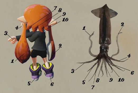 Splatoon - Fig 3