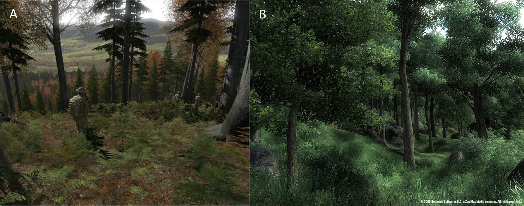 Dendrology - Figure 4