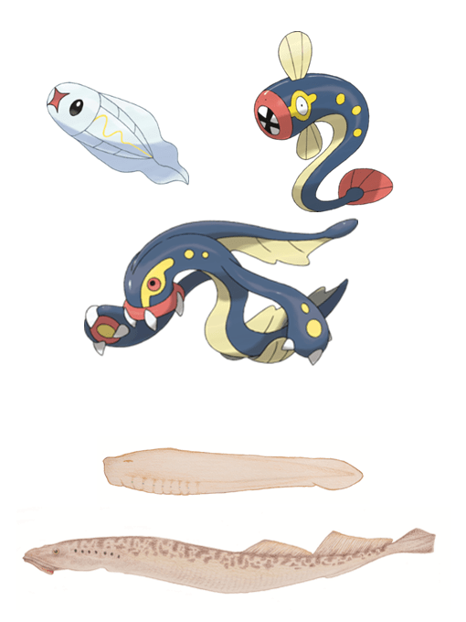 The ichthyological diversity of&nbsp;Pokémon