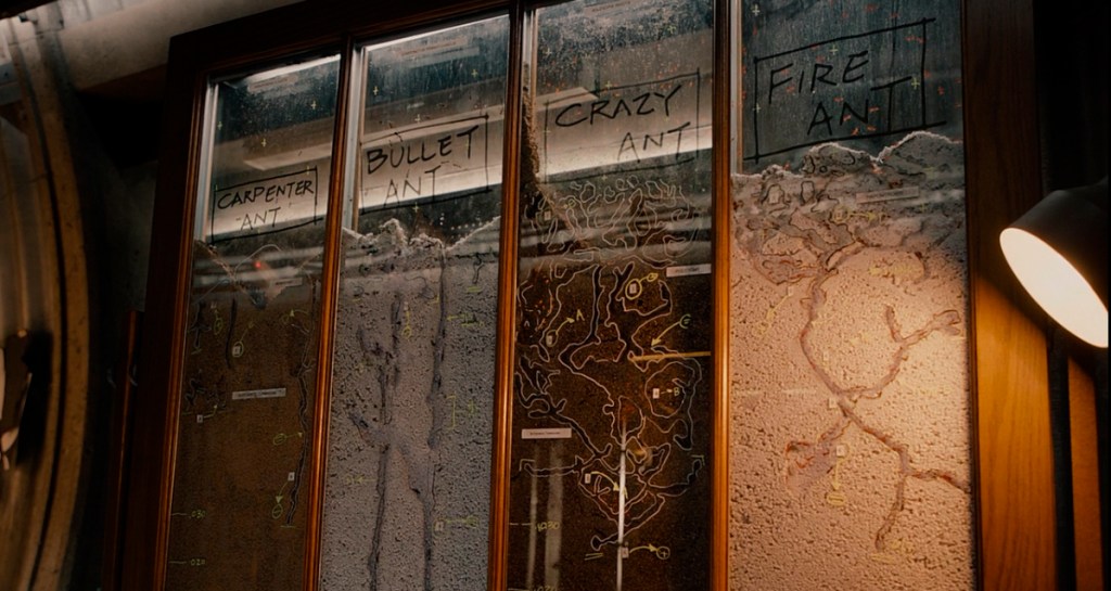 Ants in the Ant-Man movie, with biological&nbsp;notes