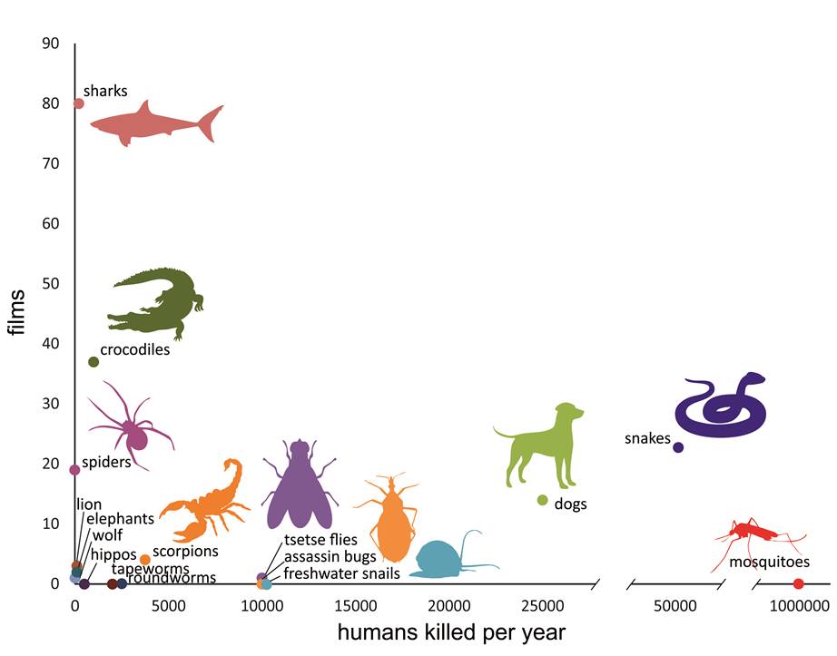 Killer animals in films: reality vs&nbsp;fiction
