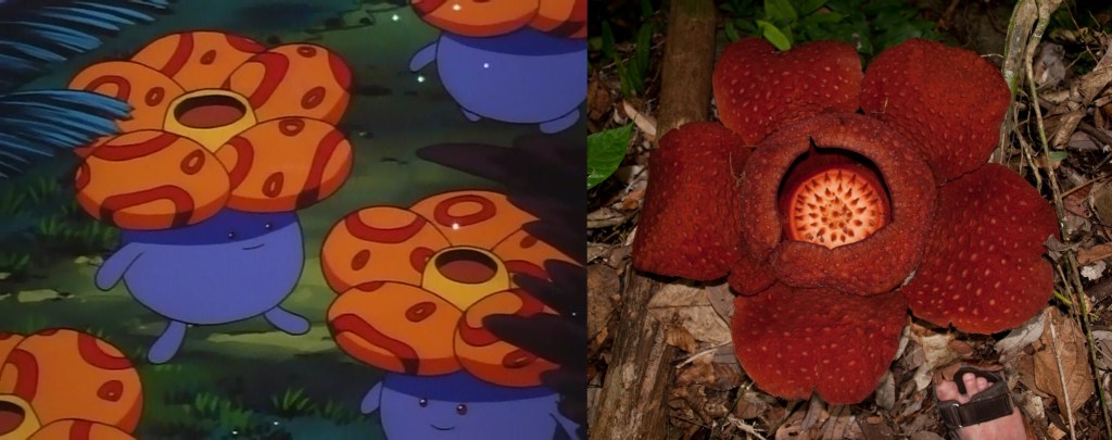 Floral gigantism in the Pokémon&nbsp;world