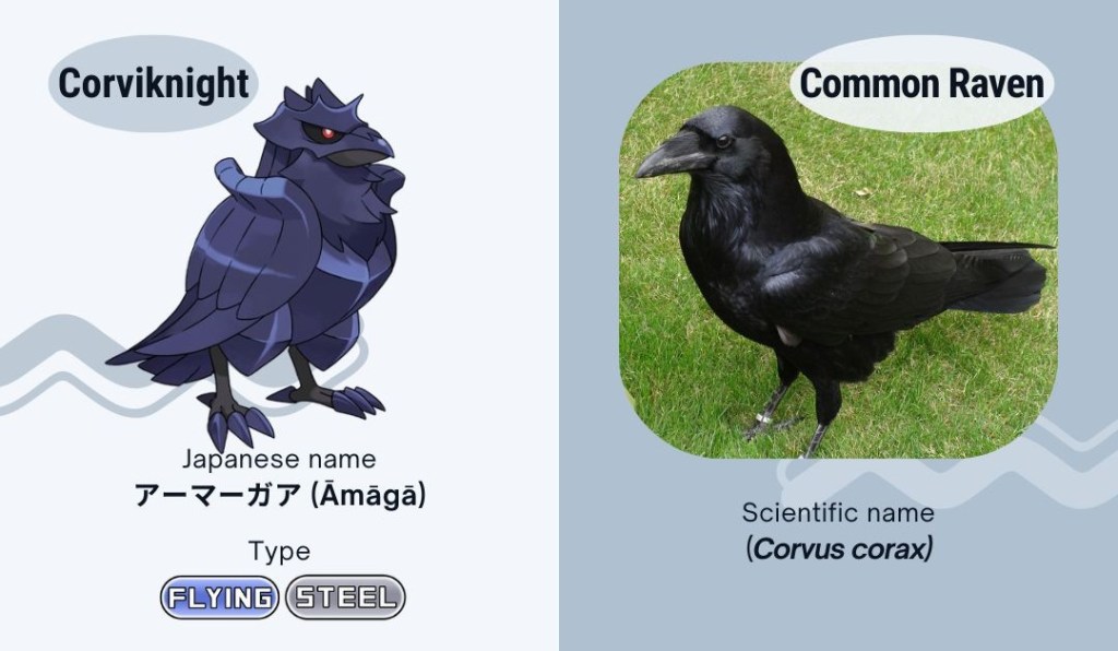 Dark wings, bright insights: a comprehensive analysis of corvid species in Pokémon&nbsp;games