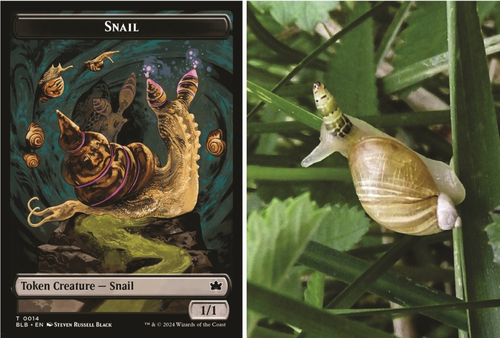 Molluscs of the Multiverse: molluscan diversity in Magic: The&nbsp;Gathering