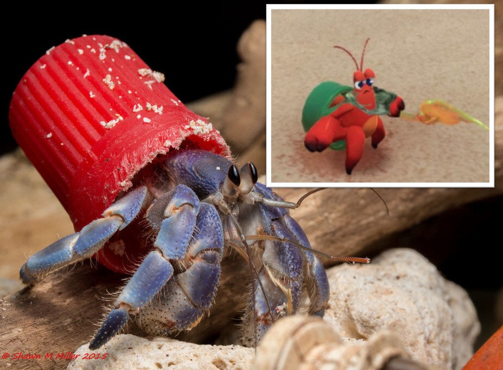 When trash stops being a treasure: pollution and its effects in Another Crab’s&nbsp;Treasure